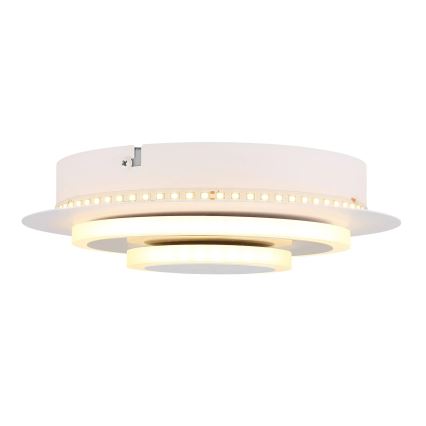 Globo - LED stropna svjetiljka LED/20W/230V 3000K