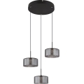 Globo - LED Luster na sajli 3xLED/8W/230V
