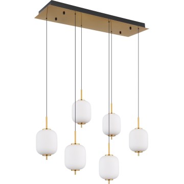 Globo - LED Luster na sajli 6xLED/6,7W/230V