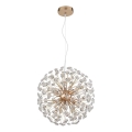 Globo - LED luster na sajli 8xG9/3,5W/230V zlatni