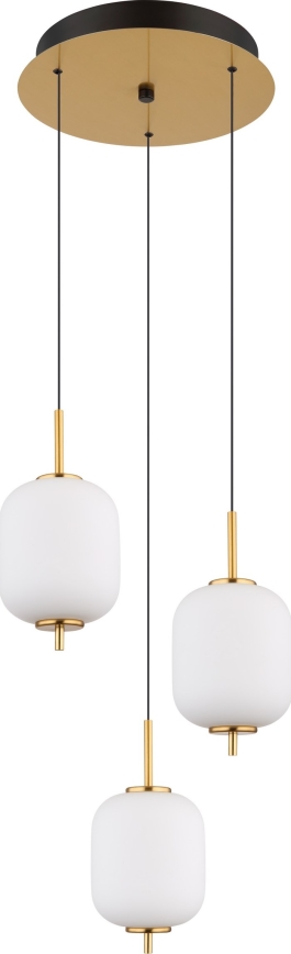 Globo - LED Luster na sajli LED/20W/230V