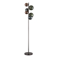 Globo - LED podna svjetiljka 6xG9/3,5W/230V
