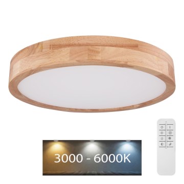 Globo - LED Prigušiva stropna svjetiljka LED/24W/230V 3000-6000K + daljinski upravljač