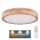 Globo - LED Prigušiva stropna svjetiljka LED/24W/230V 3000-6000K + daljinski upravljač