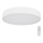 Globo - LED Prigušiva stropna svjetiljka LED/24W/230V 3000-6000K + daljinski upravljač
