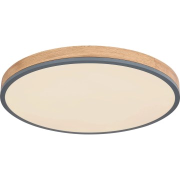 Globo - LED Prigušiva stropna svjetiljka LED/40W/230V 2700-6500K pr. 60 cm + daljinski upravljač smeđa/siva