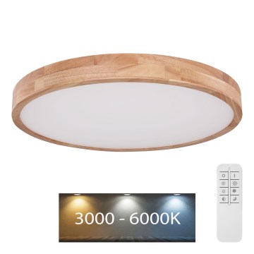 Globo - LED Prigušiva stropna svjetiljka LED/48W/230V 3000-6000K + daljinski upravljač
