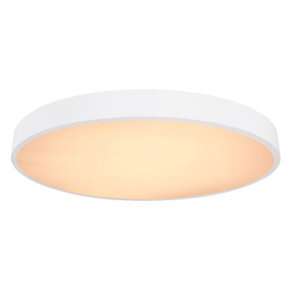 Globo - LED Prigušiva stropna svjetiljka LED/48W/230V 3000-6000K + daljinski upravljač