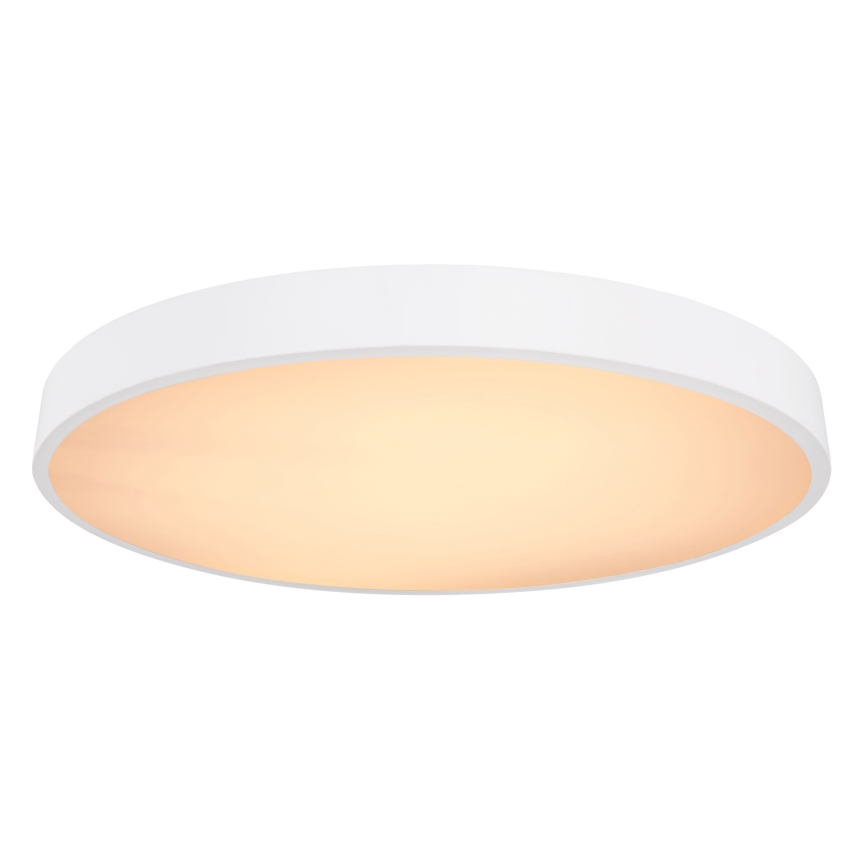 Globo - LED Prigušiva stropna svjetiljka LED/48W/230V 3000-6000K + daljinski upravljač