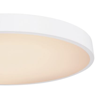 Globo - LED Prigušiva stropna svjetiljka LED/48W/230V 3000-6000K + daljinski upravljač