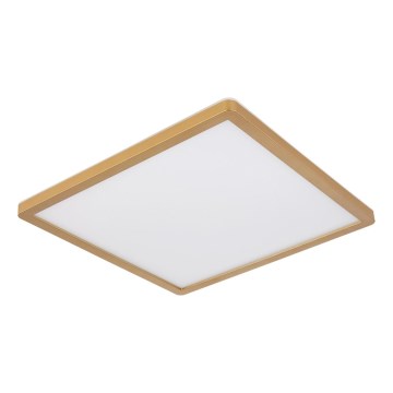 Globo - LED Prigušiva stropna svjetiljka za kupaonicu LED/18W/230V 3000K IP44 29,4x29,4 cm mesing