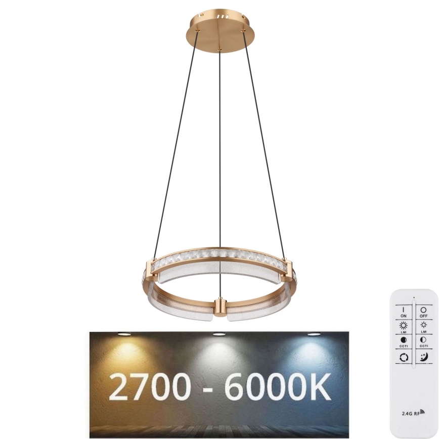 Globo - LED Prigušivi kristalni luster na sajli LED/36W/230V 2700K-6000K + daljinski upravljač