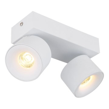 Globo - LED Reflektorska svjetiljka 2xLED/6W/230V bijela