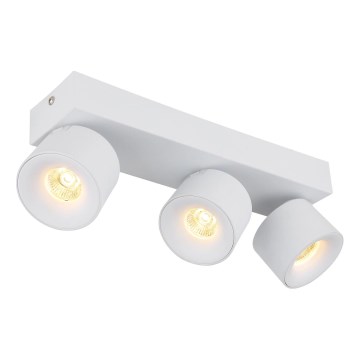 Globo - LED Reflektorska svjetiljka 3xLED/6W/230V bijela