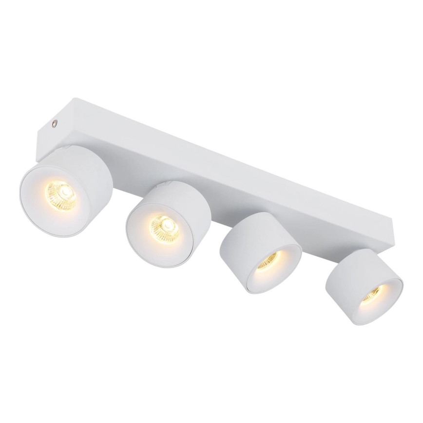 Globo - LED Reflektorska svjetiljka 4xLED/6W/230V bijela