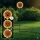 Globo - LED solarna svjetiljka 200xLED/3V IP44 600 mAh cvijet