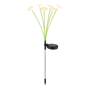 Globo - LED solarna svjetiljka 6xLED/3V IP44 600 mAh u obliku cvijeta
