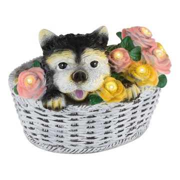 Globo - LED solarna svjetiljka LED/1,2V IP44 300 mAh pas