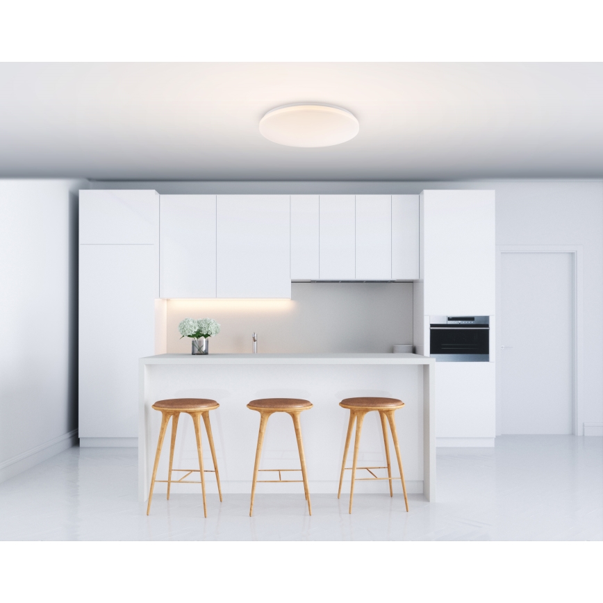 Globo - LED Stropna svjetiljka 1xLED/20W/230V