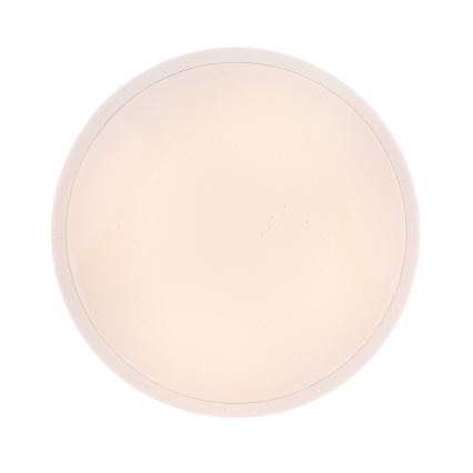 Globo - LED Stropna svjetiljka LED/24W/230V 3000/4000/6000K pr. 37,5 cm