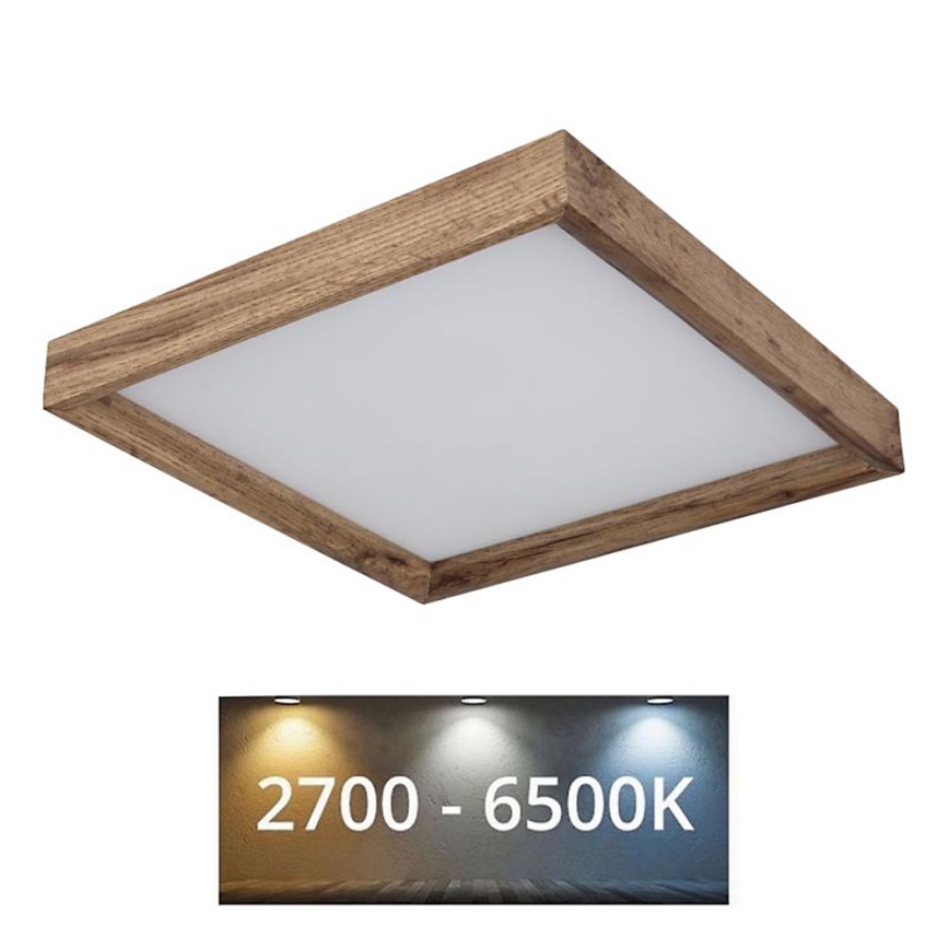 Globo - LED stropna svjetiljka LED/12W/230V 2700/4500/6500K 30x30 cm