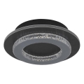 Globo - LED stropna svjetiljka LED/12W/230V 3000/4000/6500K Ø 20 cm antracit