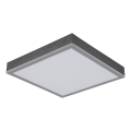 Globo - LED Stropna svjetiljka LED/12W/230V 3000K 30x30 cm