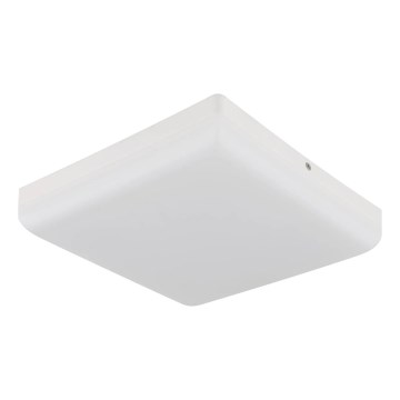 Globo - LED Stropna svjetiljka LED/12W/230V 4000K 22x22 cm bijela