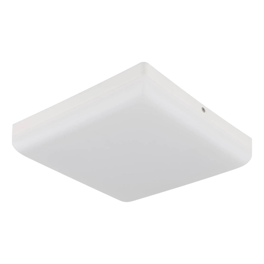 Globo - LED Stropna svjetiljka LED/12W/230V 4000K 22x22 cm bijela