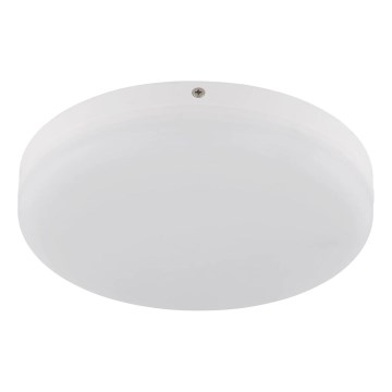 Globo - LED Stropna svjetiljka LED/12W/230V 4000K pr. 22 cm bijela