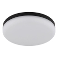 Globo - LED Stropna svjetiljka LED/12W/230V 4000K pr. 22 cm crna
