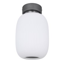 Globo - LED Stropna svjetiljka LED/21W/230V