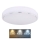 Globo - LED Stropna svjetiljka LED/24W/230V 3000/4000/6000K pr. 37,5 cm