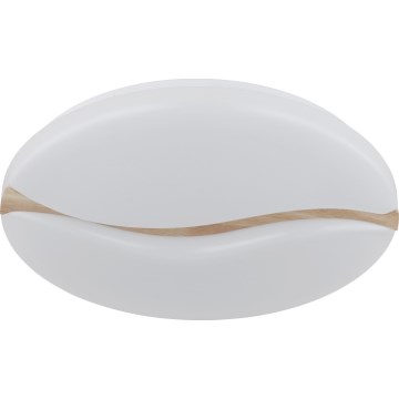 Globo - LED Stropna svjetiljka LED/24W/230V 3000/4200/6000K pr. 33 cm