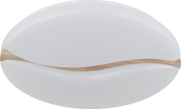 Globo - LED Stropna svjetiljka LED/24W/230V 3000/4200/6000K pr. 33 cm