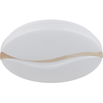 Globo - LED Stropna svjetiljka LED/24W/230V 3000/4200/6000K pr. 39 cm