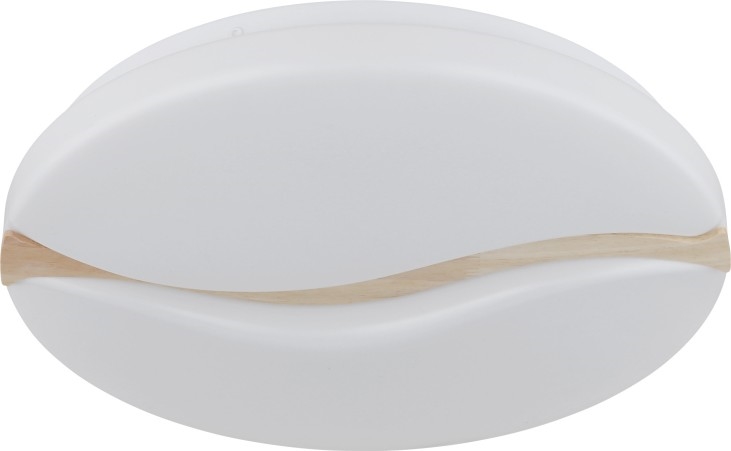 Globo - LED Stropna svjetiljka LED/24W/230V 3000/4200/6000K pr. 39 cm