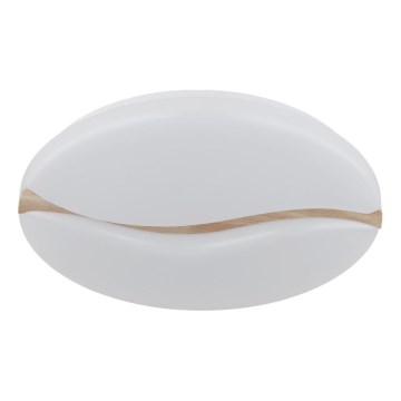 Globo - LED stropna svjetiljka LED/24W/230V 3000/4200/6000K promjer 33 cm