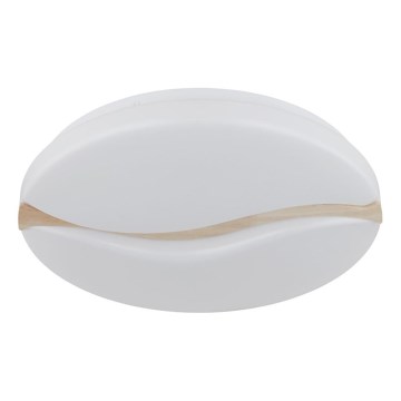 Globo - LED stropna svjetiljka LED/24W/230V 3000/4200/6000K promjer 39 cm