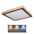 Globo - LED stropna svjetiljka LED/24W/230V 3000/4500/6000K