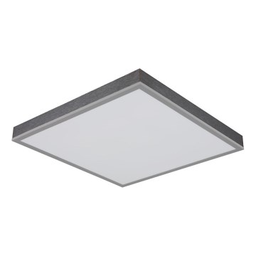 Globo - LED Stropna svjetiljka LED/24W/230V 3000K 45x45 cm