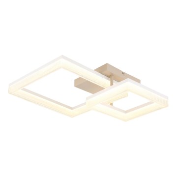 Globo - LED stropna svjetiljka LED/24W/230V 3000K 46,5x62,5 cm