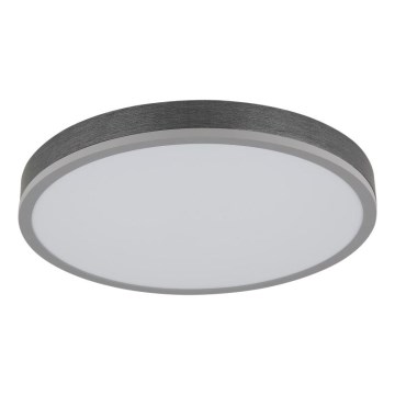 Globo - LED Stropna svjetiljka LED/24W/230V 3000K pr. 45 cm