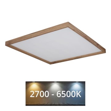 Globo - LED stropna svjetiljka LED/36W/230V 2700/4500/6500K 60x60 cm