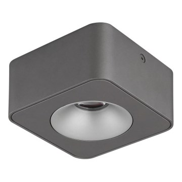 Globo - LED Stropna svjetiljka LED/6,5W/230V 11,7x11,7 cm