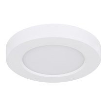 Globo - LED Stropna svjetiljka LED/6W/230V 3000/4000/6500K bijela