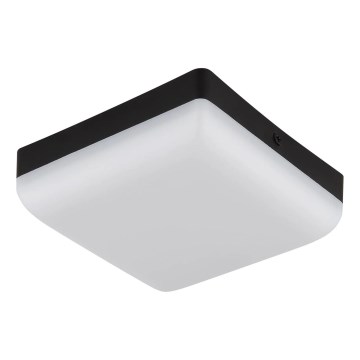 Globo - LED Stropna svjetiljka LED/8W/230V 4000K 12x12 cm crna