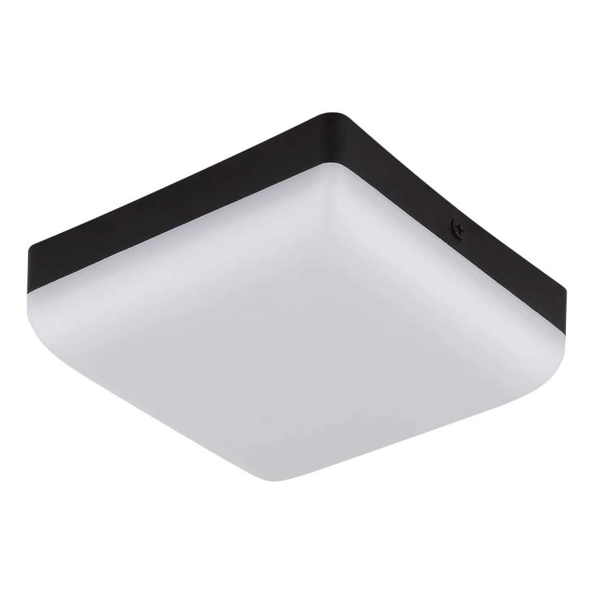 Globo - LED Stropna svjetiljka LED/8W/230V 4000K 12x12 cm crna