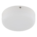 Globo - LED Stropna svjetiljka LED/8W/230V 4000K pr. 12 cm bijela
