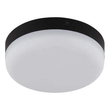 Globo - LED Stropna svjetiljka LED/8W/230V 4000K pr. 12 cm crna